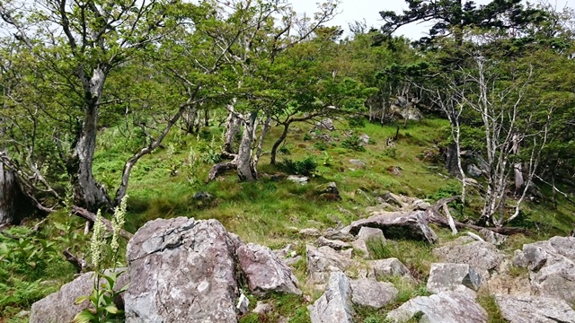 b0148050_8515457.jpg