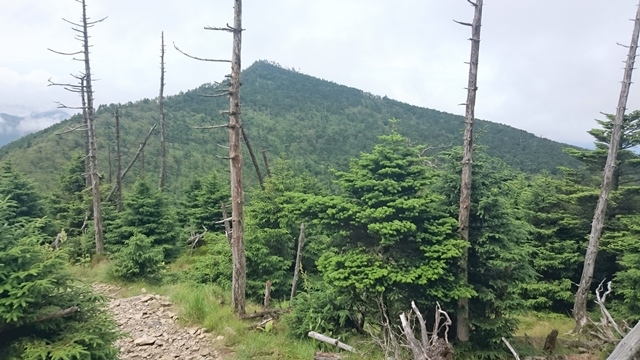 b0148050_8531731.jpg