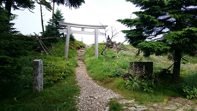 b0148050_853266.jpg