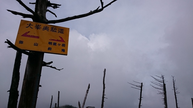 b0148050_8561640.jpg