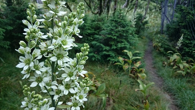 b0148050_8562335.jpg