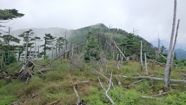 b0148050_8573175.jpg