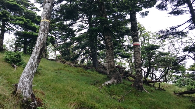 b0148050_8581490.jpg