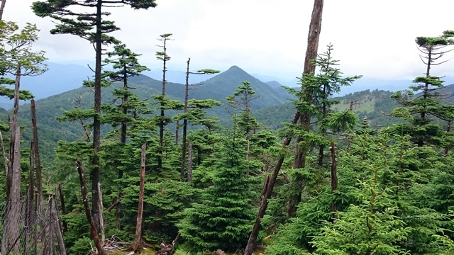 b0148050_858573.jpg