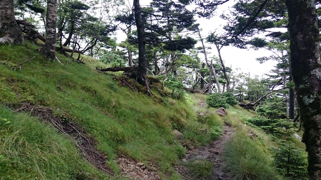 b0148050_858669.jpg