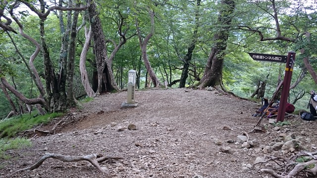 b0148050_954013.jpg