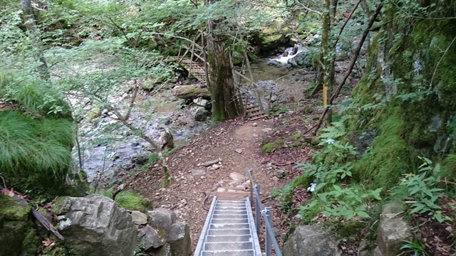 b0148050_954756.jpg