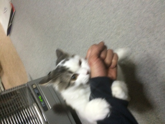 (;´・ω・)_a0120654_115955.jpg