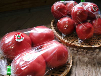 樹上完熟の朝採りトマト　平成29年度よりの販売に変更いたします！_a0254656_1631295.jpg