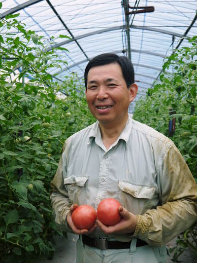 樹上完熟の朝採りトマト　平成29年度よりの販売に変更いたします！_a0254656_17532368.jpg