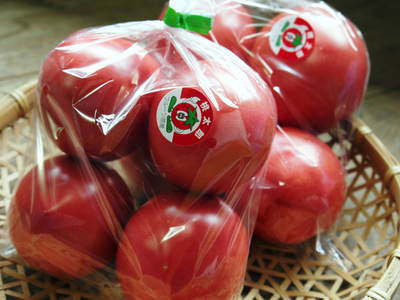 樹上完熟の朝採りトマト　平成29年度よりの販売に変更いたします！_a0254656_18144960.jpg