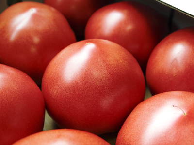 樹上完熟の朝採りトマト　平成29年度よりの販売に変更いたします！_a0254656_1873830.jpg