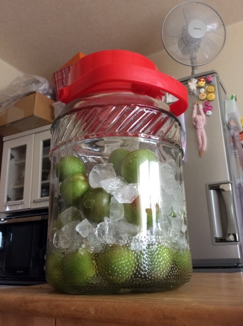 b0321359_21504266.jpeg