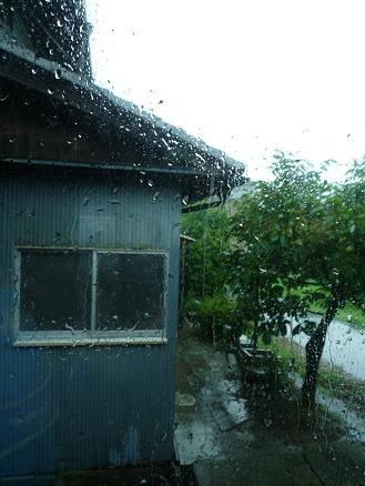 f0032265_2046456.jpg
