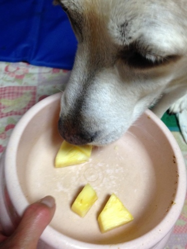 f0315081_22054597.jpeg