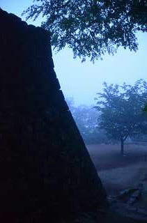 c0229483_22393869.jpg