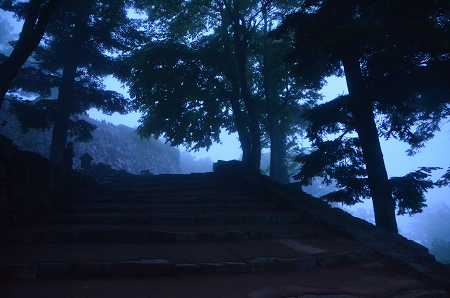 c0229483_2246425.jpg