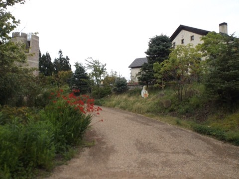 d0115985_00014518.jpeg