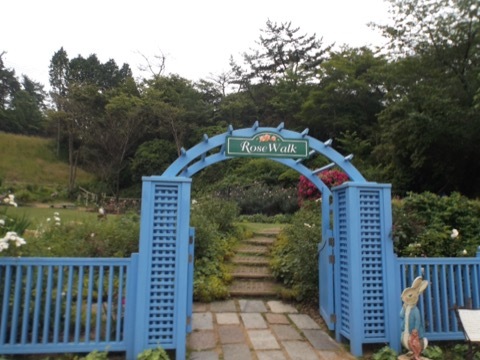 d0115985_00032731.jpeg