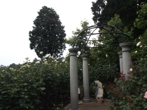 d0115985_00041972.jpeg
