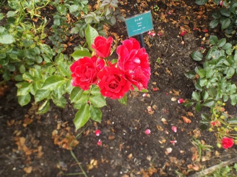 d0115985_00043609.jpeg