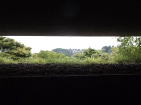 d0115985_00082615.jpeg