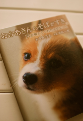 b0304089_21421487.png