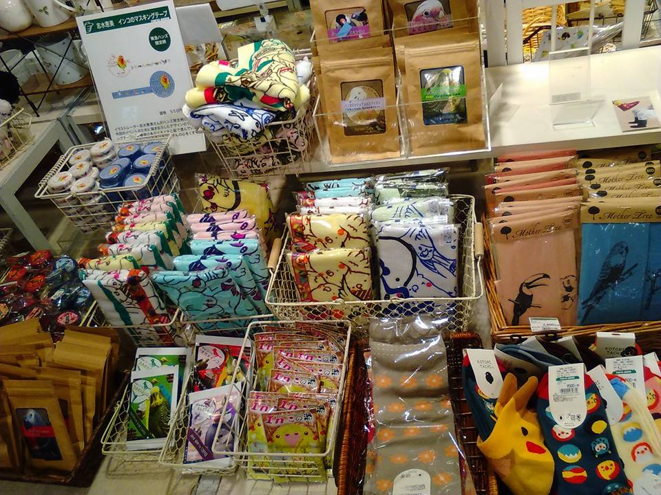 東急ハンズ梅田店ねこの雑貨と作品展、パンダ・インコと鳥の雑貨展常設の様子_d0322493_0573053.jpg