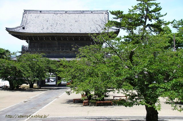 鎌倉　光明寺　蓮の寺へ。。。_c0087094_20452789.jpg