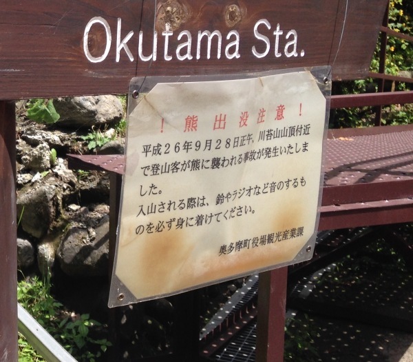 d0134102_17332678.jpeg