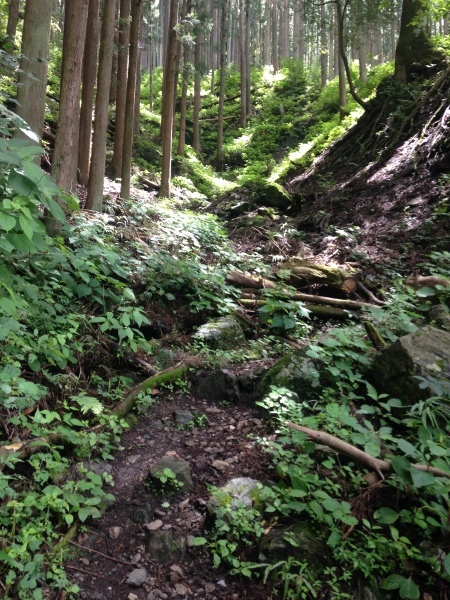 d0134102_17341212.jpeg