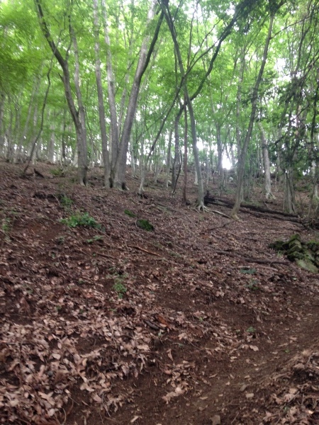d0134102_17343617.jpeg
