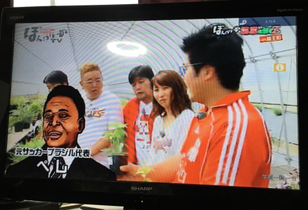 サンドのぼんやりーぬTVに出ました_d0072903_14583255.jpg