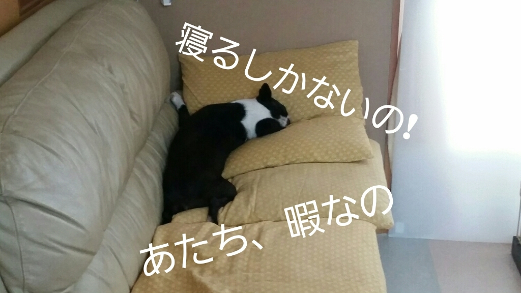 c0326807_21450776.jpg