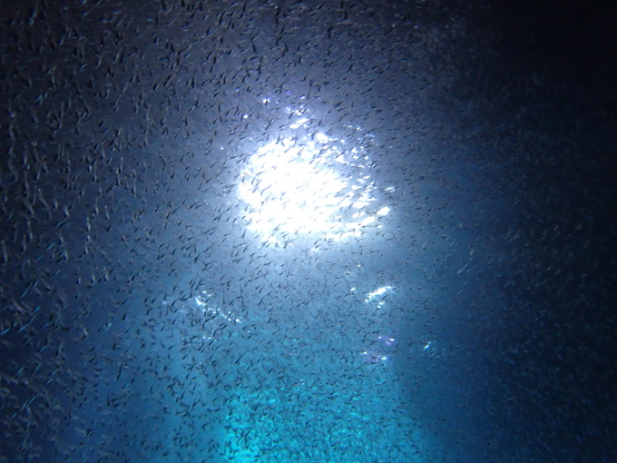 c0182012_2094592.jpg