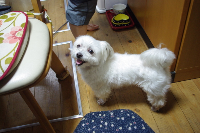 d0341514_20111218.jpg