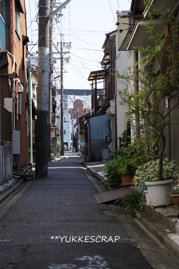 名古屋駅史跡さんぽ ~名古屋市那古野 四間道~_d0348118_1662362.jpg
