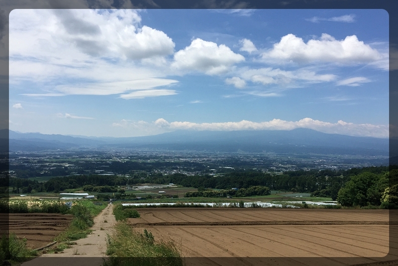 1000ｍからの景色と野の花_e0136424_12373002.jpg