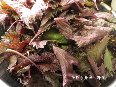 b0244034_17454550.jpg