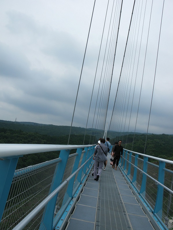 d0333943_21423255.jpg