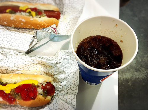 コストコホールセール 岐阜羽島倉庫店_e0292546_04242734.jpg