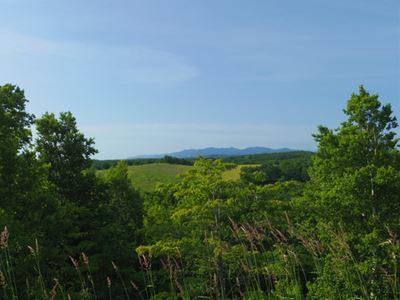 b0220251_4332730.jpg