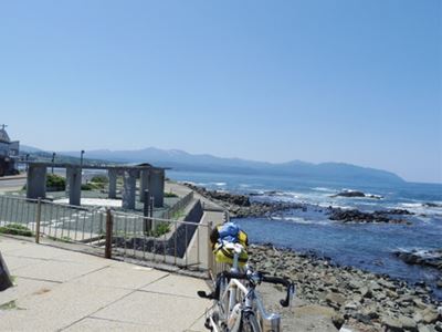 b0220251_9186.jpg