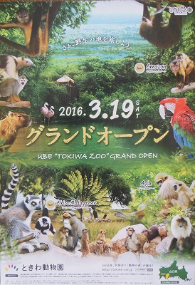 動物園_d0006756_132533.jpg