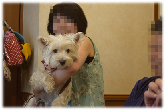 b0242873_12410497.png