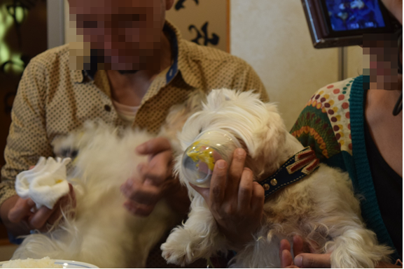 b0242873_12581570.png