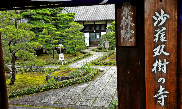 a0182281_1149858.jpg