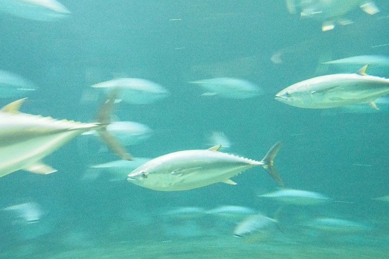 e0348392_17422632.jpg