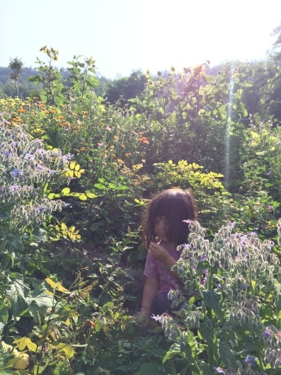 a0142810_01285605.jpeg