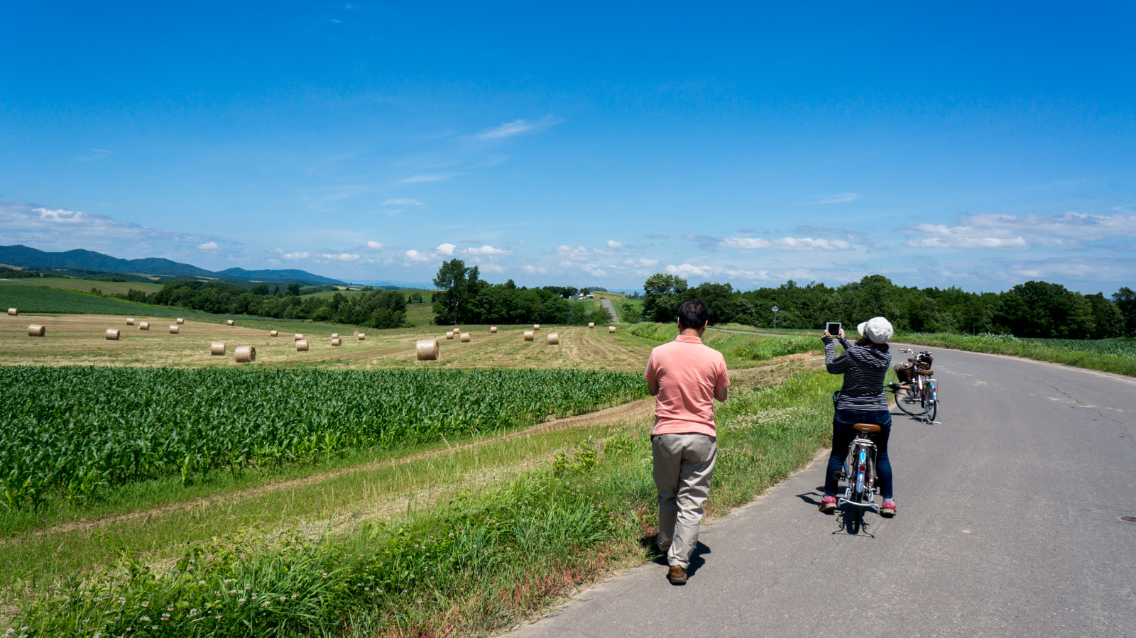 これぞ!北海道の夏_c0033513_219664.jpg